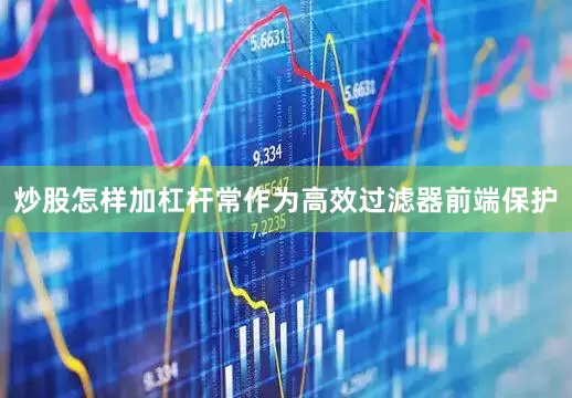 炒股怎样加杠杆常作为高效过滤器前端保护