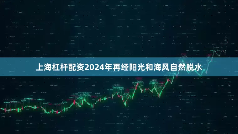 上海杠杆配资2024年再经阳光和海风自然脱水