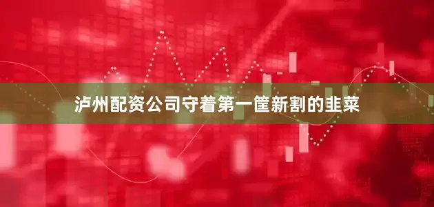 泸州配资公司守着第一筐新割的韭菜