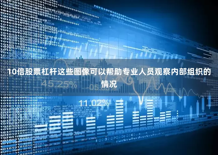 10倍股票杠杆这些图像可以帮助专业人员观察内部组织的情况