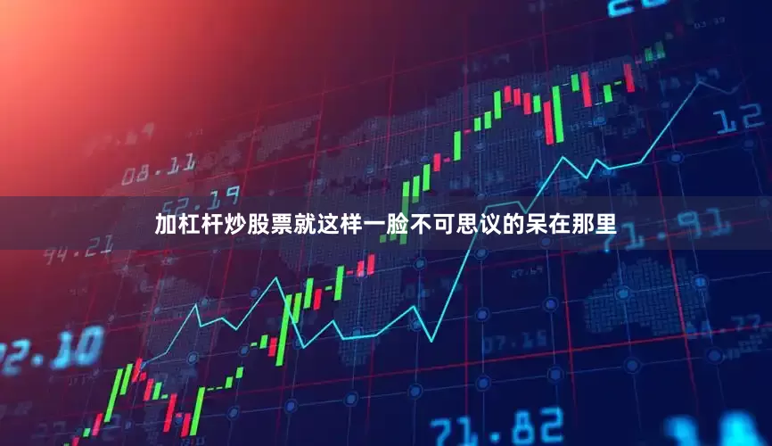 加杠杆炒股票就这样一脸不可思议的呆在那里